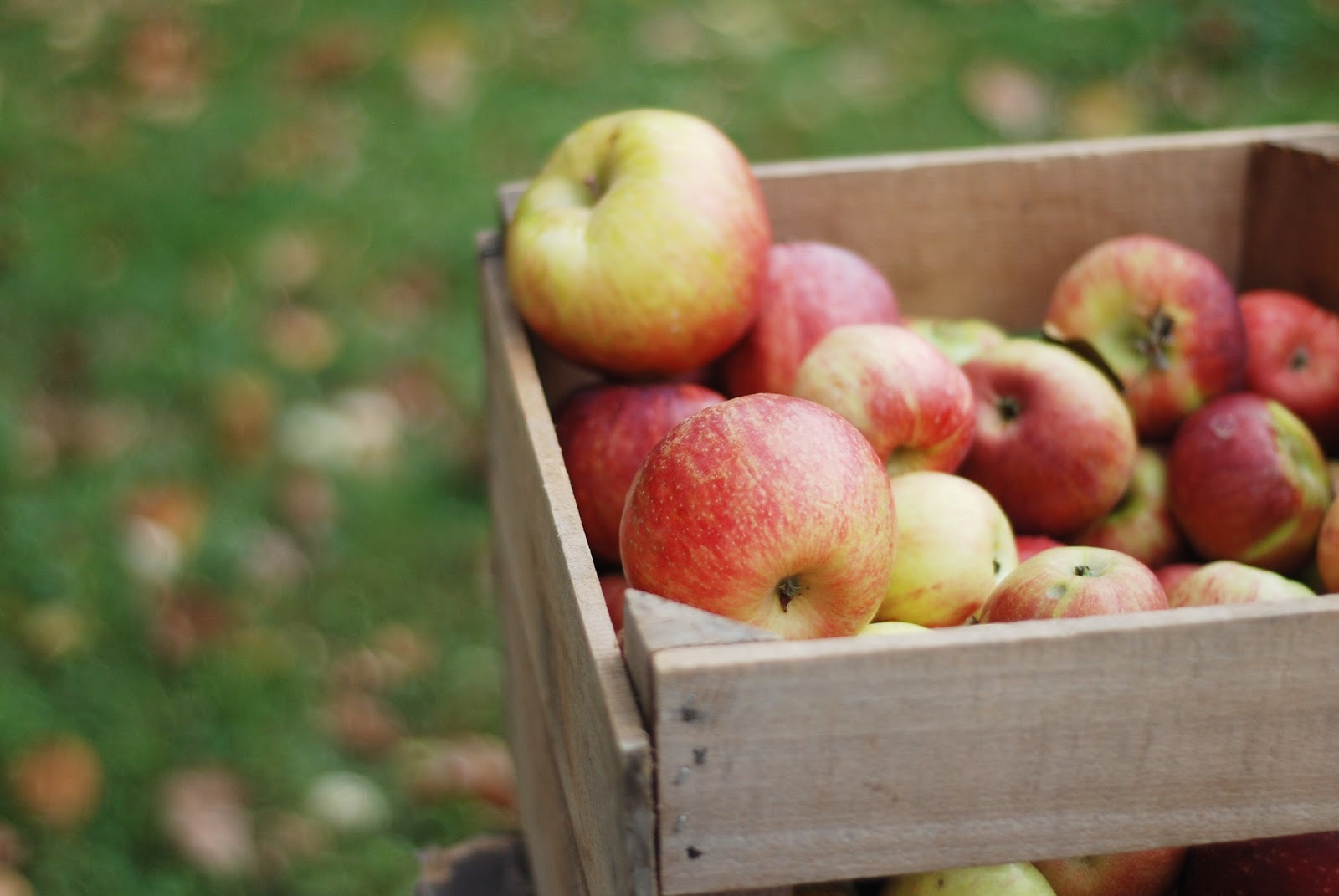 Wooden crate filled with apples.